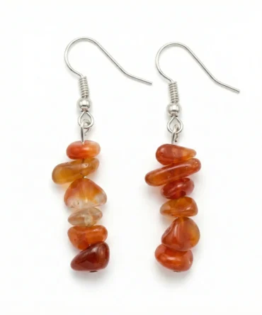 Aretes en plata chips largos